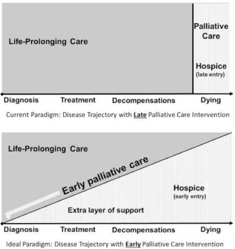 Image Credit: “Reconceptualizing palliative care as a continuum of support”Wang, David H., MD. Published March 31, 2017. Volume 69, Issue 4. Pages 437-443.