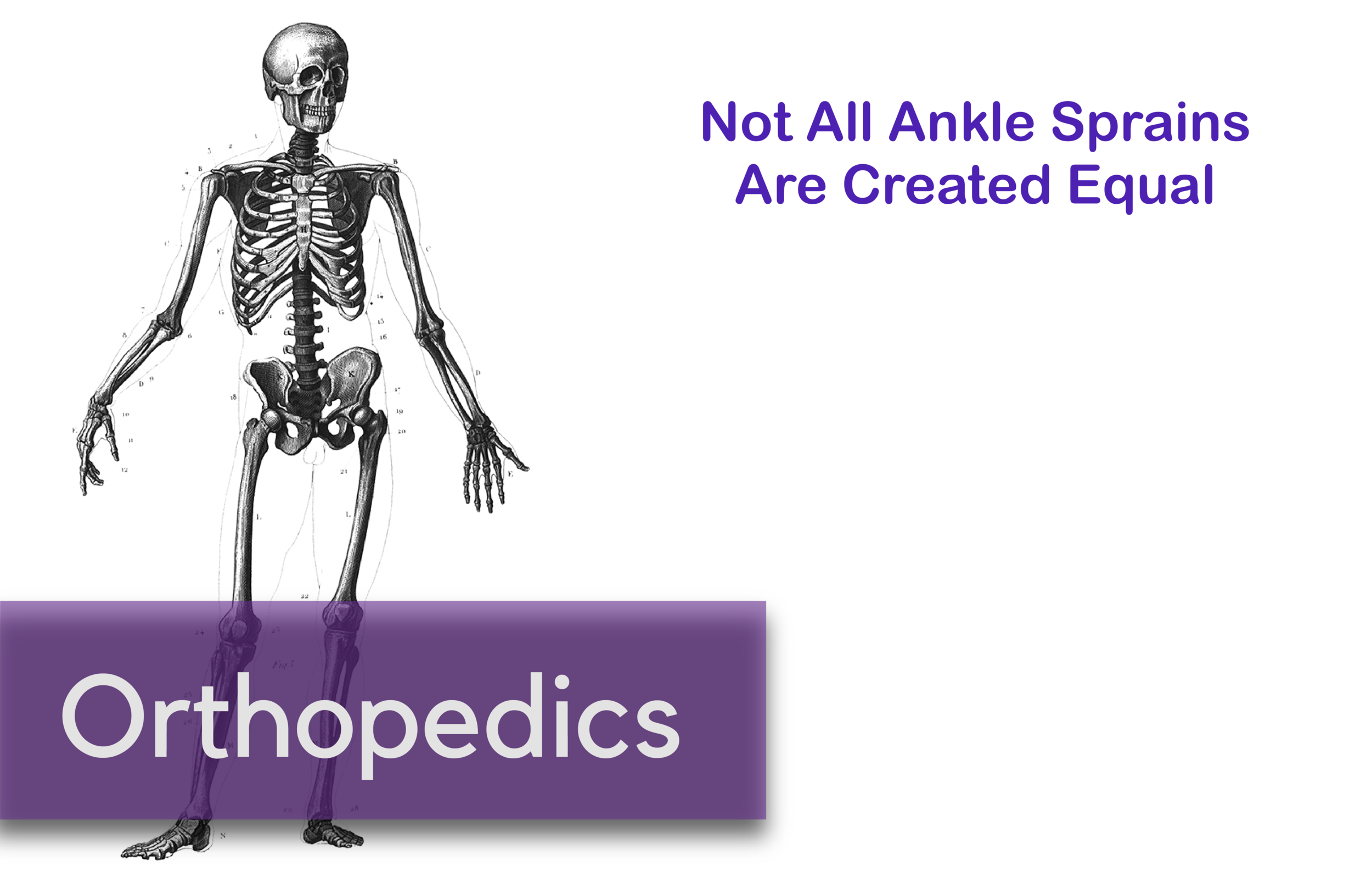 Ortho-15.png
