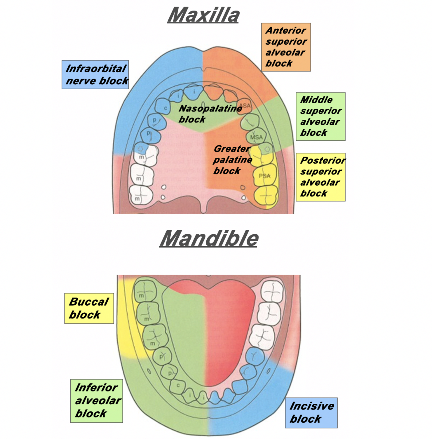 Guide to Local Anaesthetic - Skintel