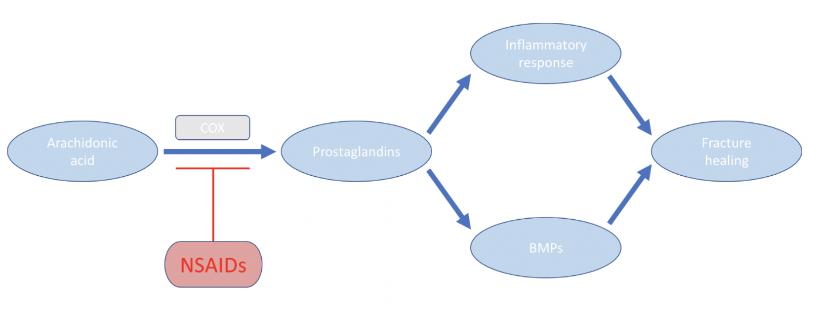 Is Fracture Healing Impaired By Nsaids Nuem Blog