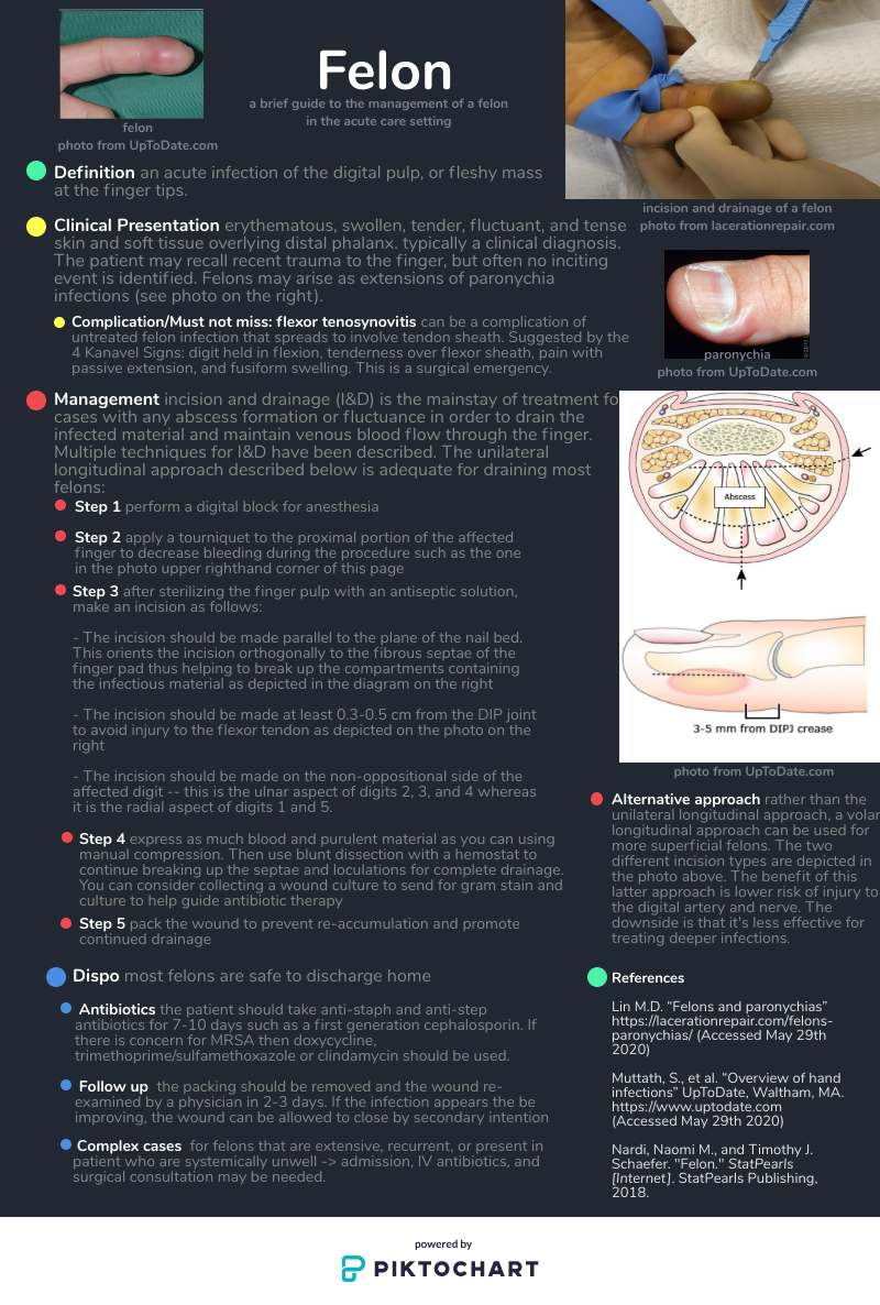 Mastering Minor Care: Paronychia and Felon — Taming the SRU