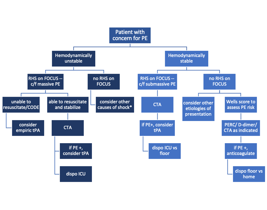 SonoPro Tips and Tricks for Pulmonary Embolism — NUEM Blog