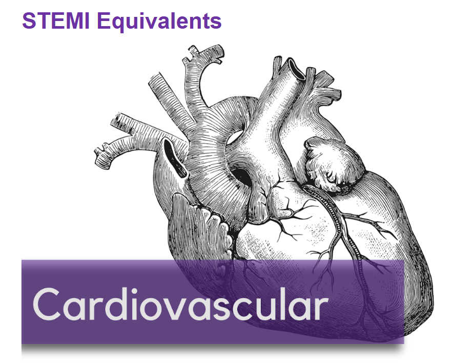 STEMI Equivalents