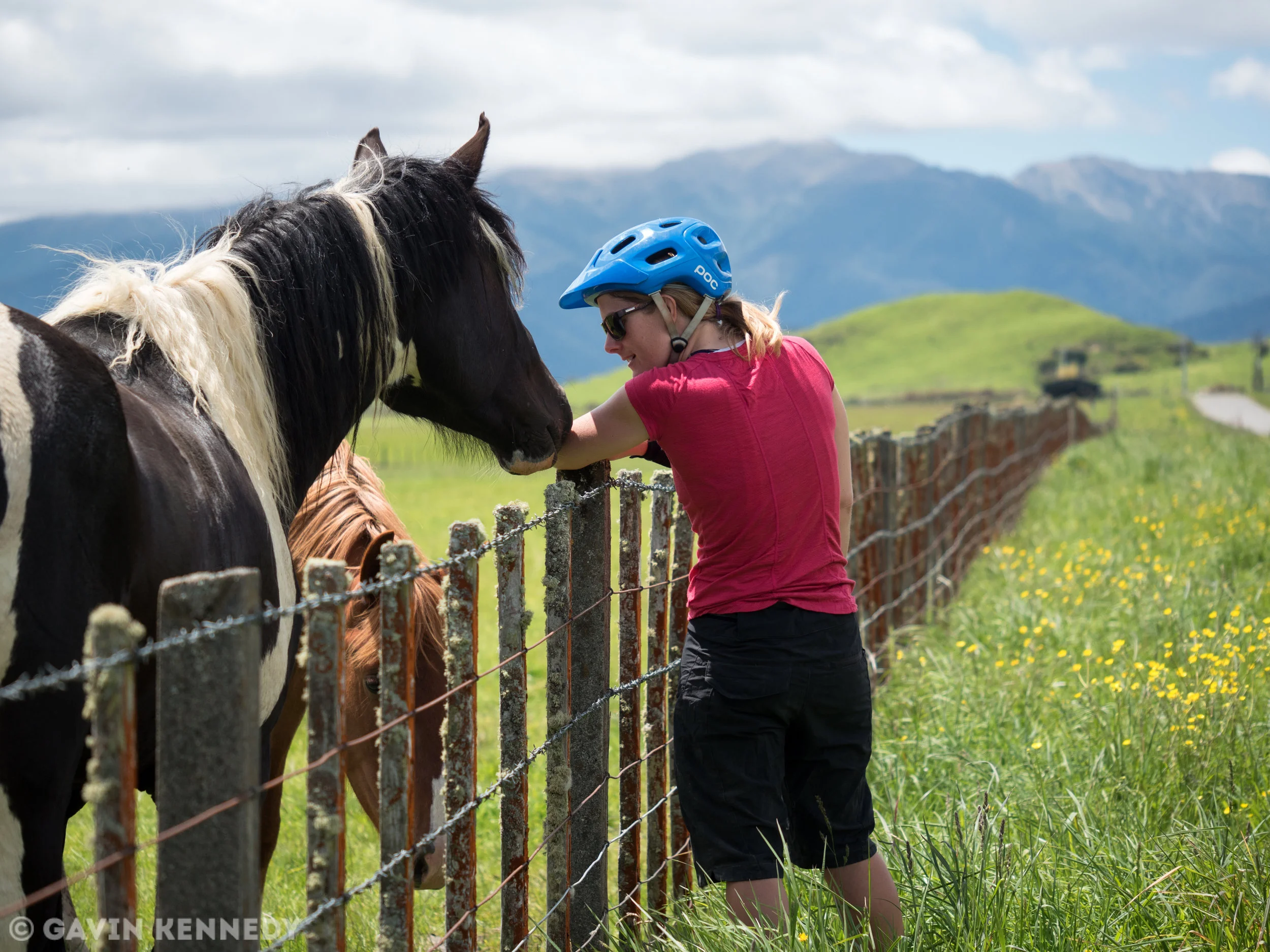 Tour Aotearoa -80.jpg
