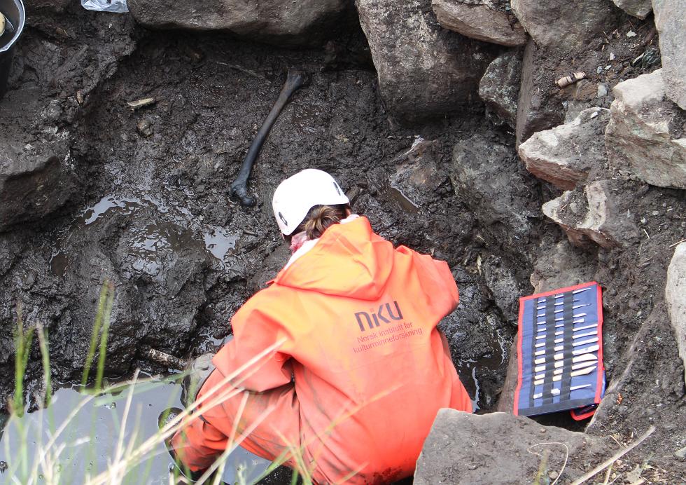 A portion of the skeletal remains and a Norwegian Institute for Cultural Heritage archaeologist at the site. Image: niku.no