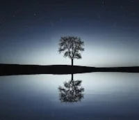 calm.jpg