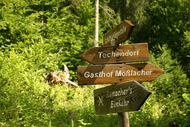 Step 4 and 5: F. M. Alexander's 5-Step Process 