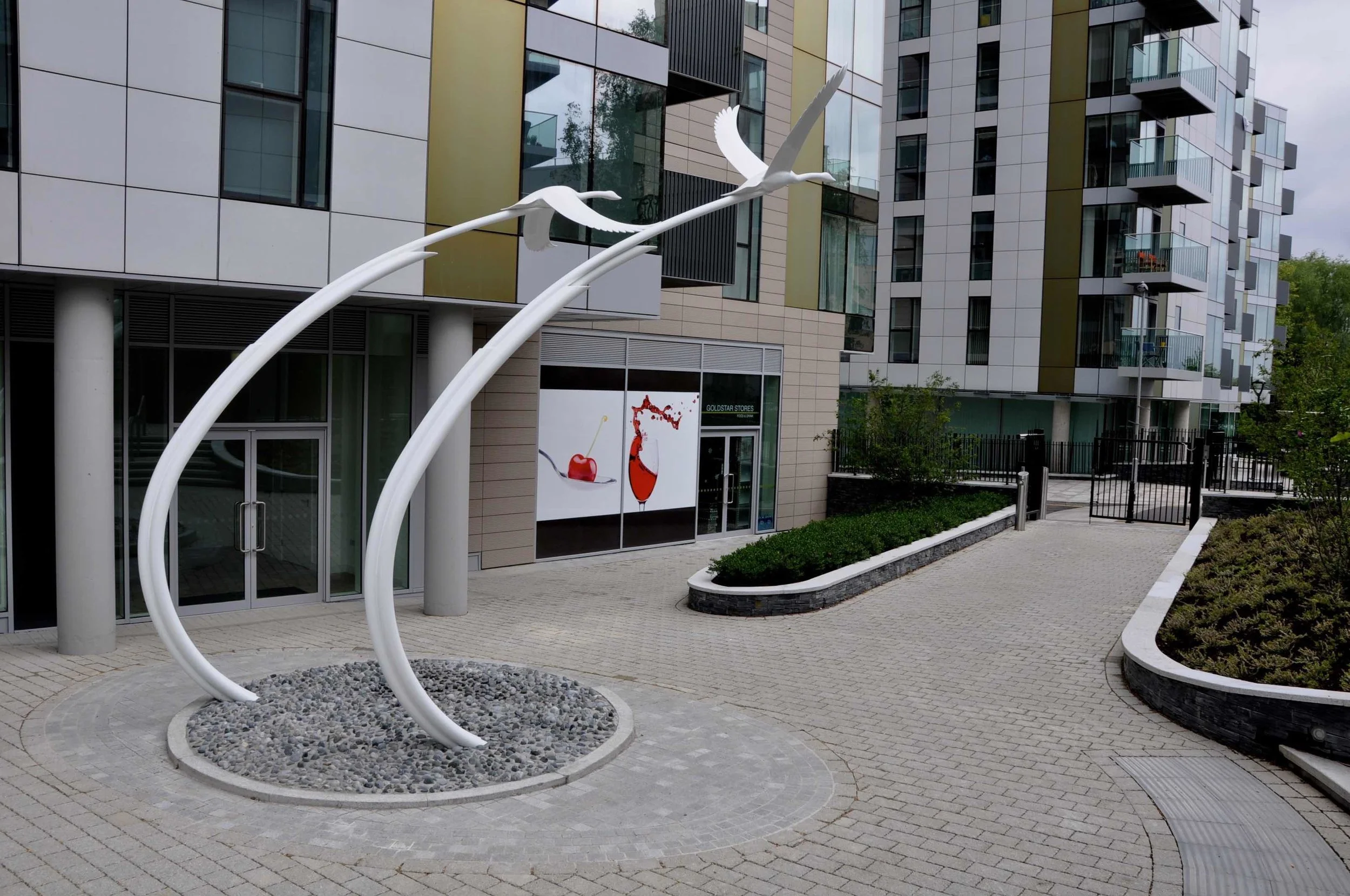 london swans back view.jpg