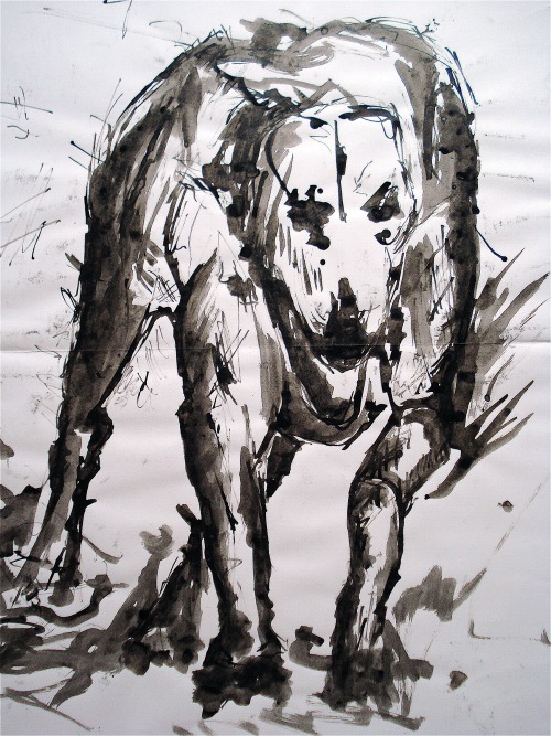 tumblr_mmr0k8hj2a1spjwm9o7_500.jpg