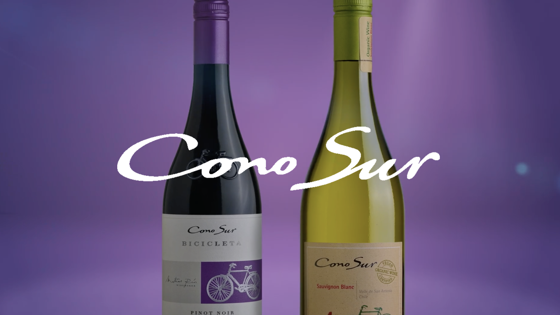CONO SUR.png