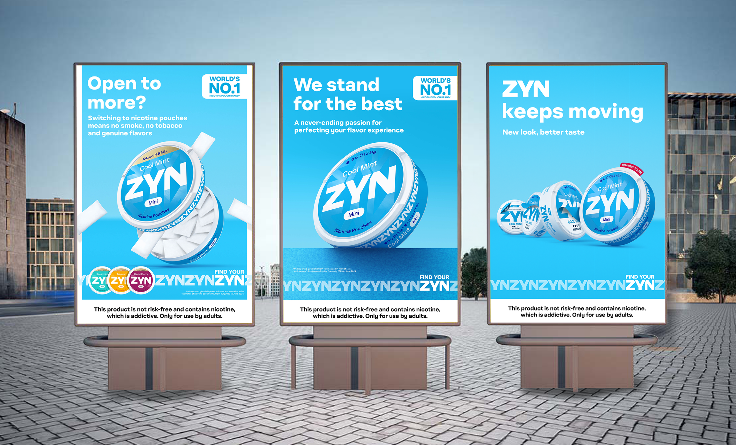 ZYN 6sheets Folio.png