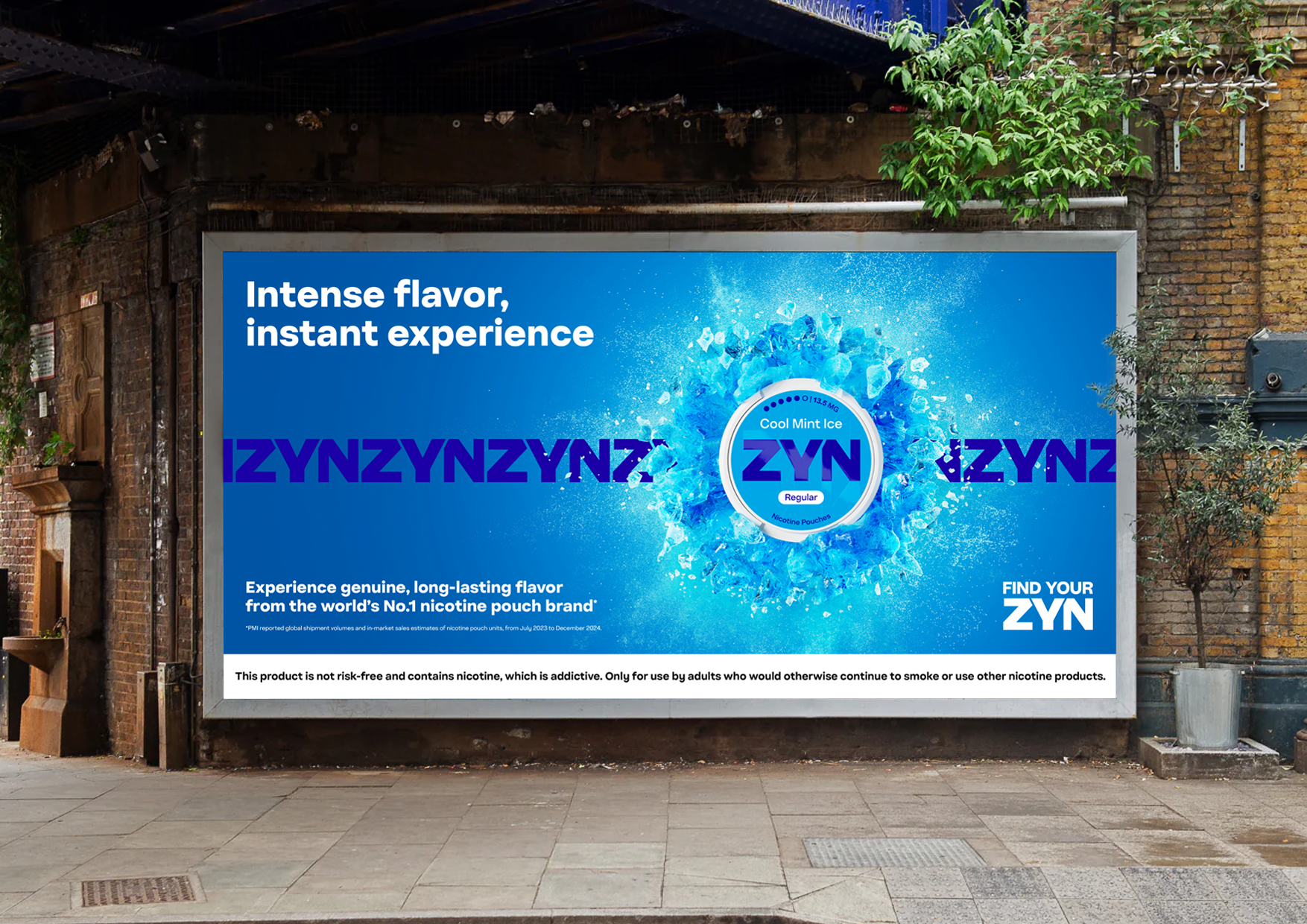 _ZYN - 48sheet.png