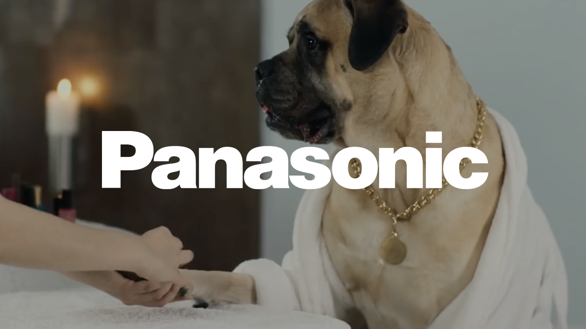 Panasonic.png