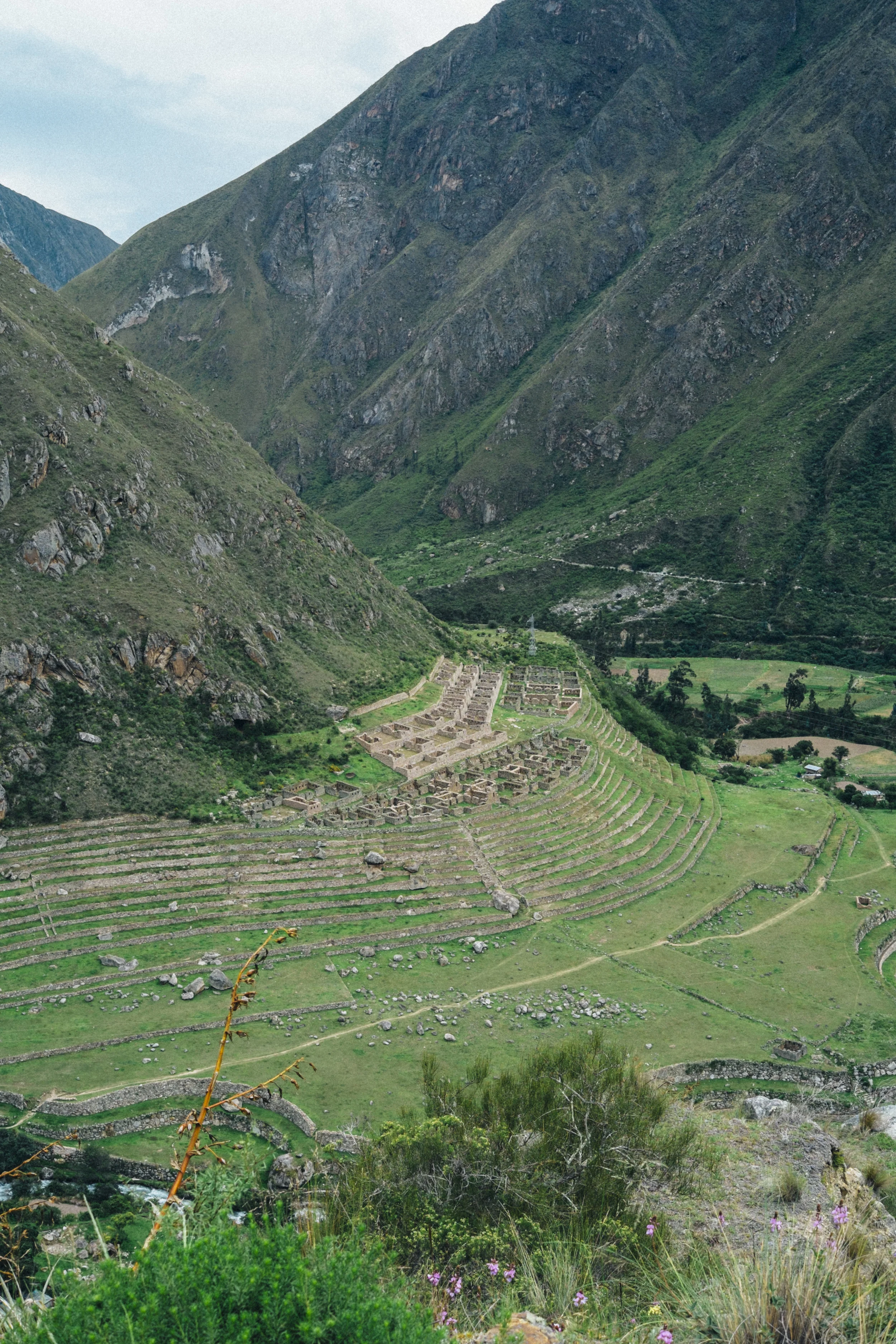 DSCF0772.jpg