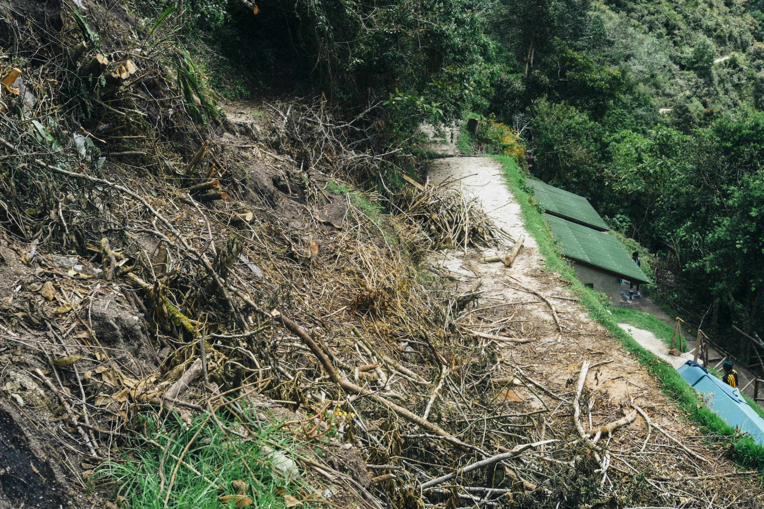 DSCF0930.jpg
