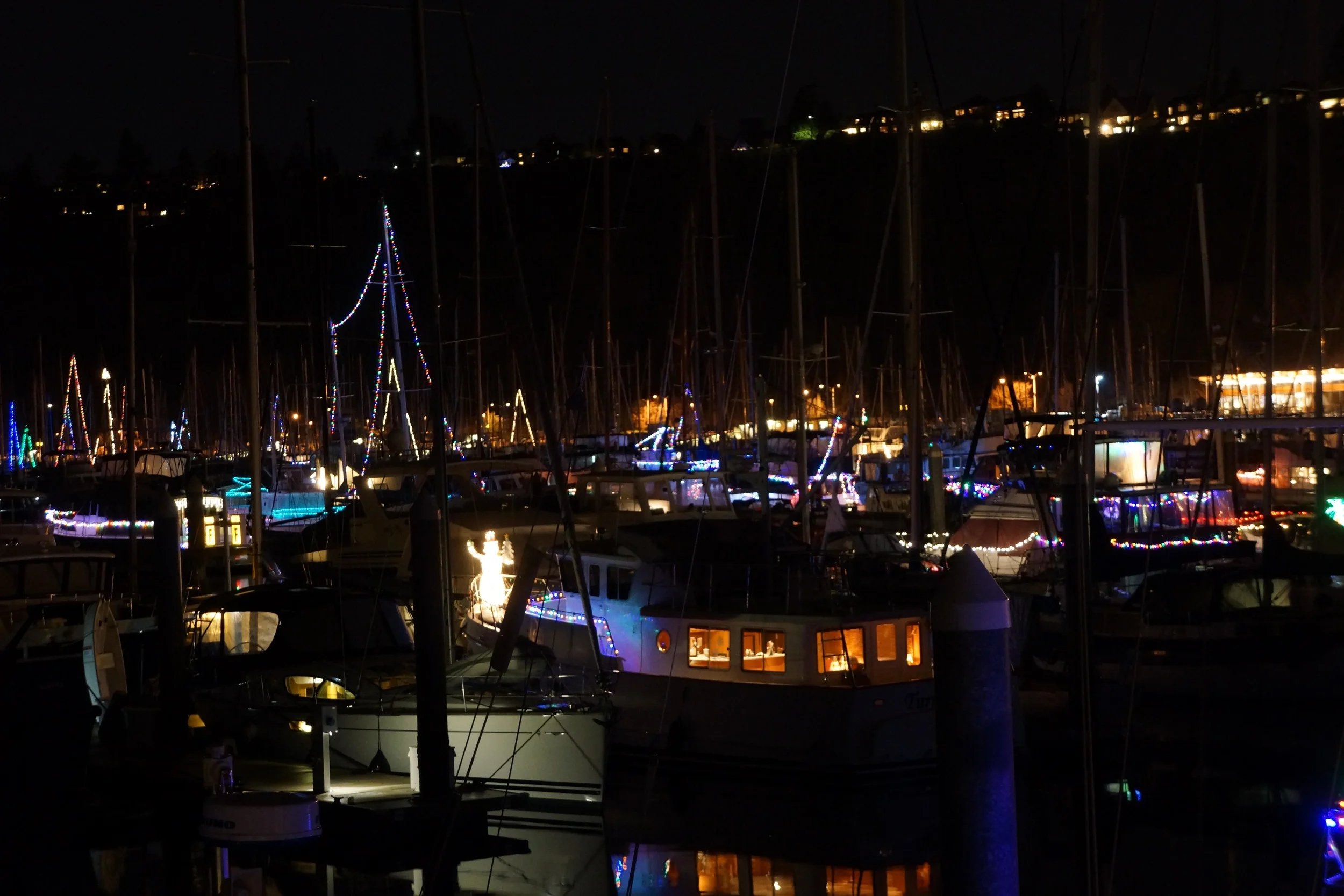 Christmas in full bloom in the marina. 12/16/2014