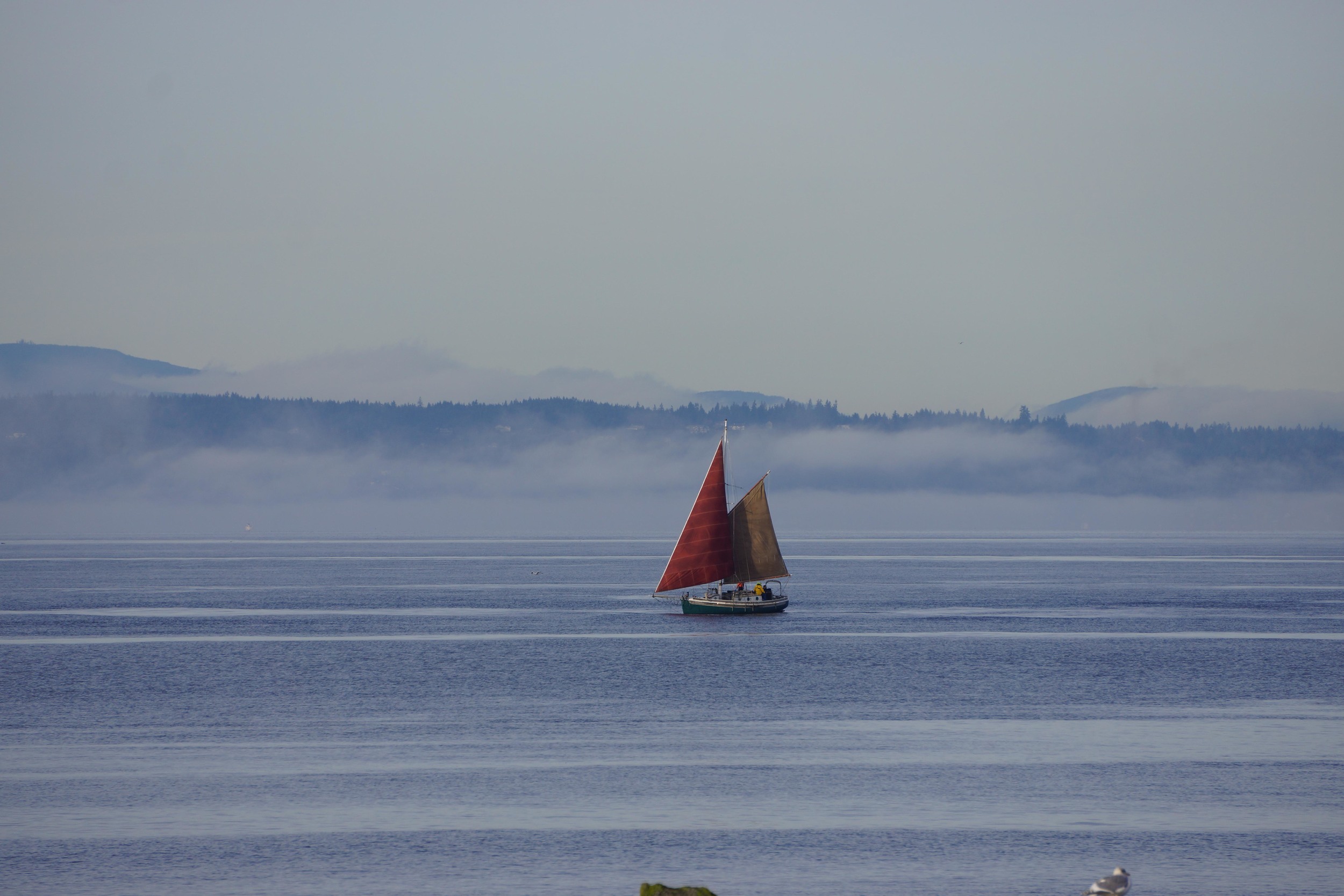 Free from the fog. 12/7/2014
