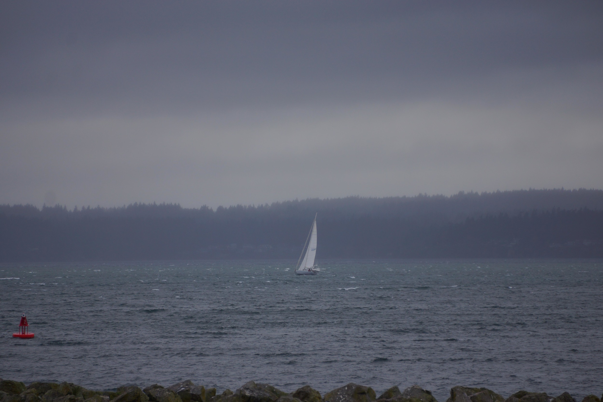 The neighbors out for a sail. 11/27/2014