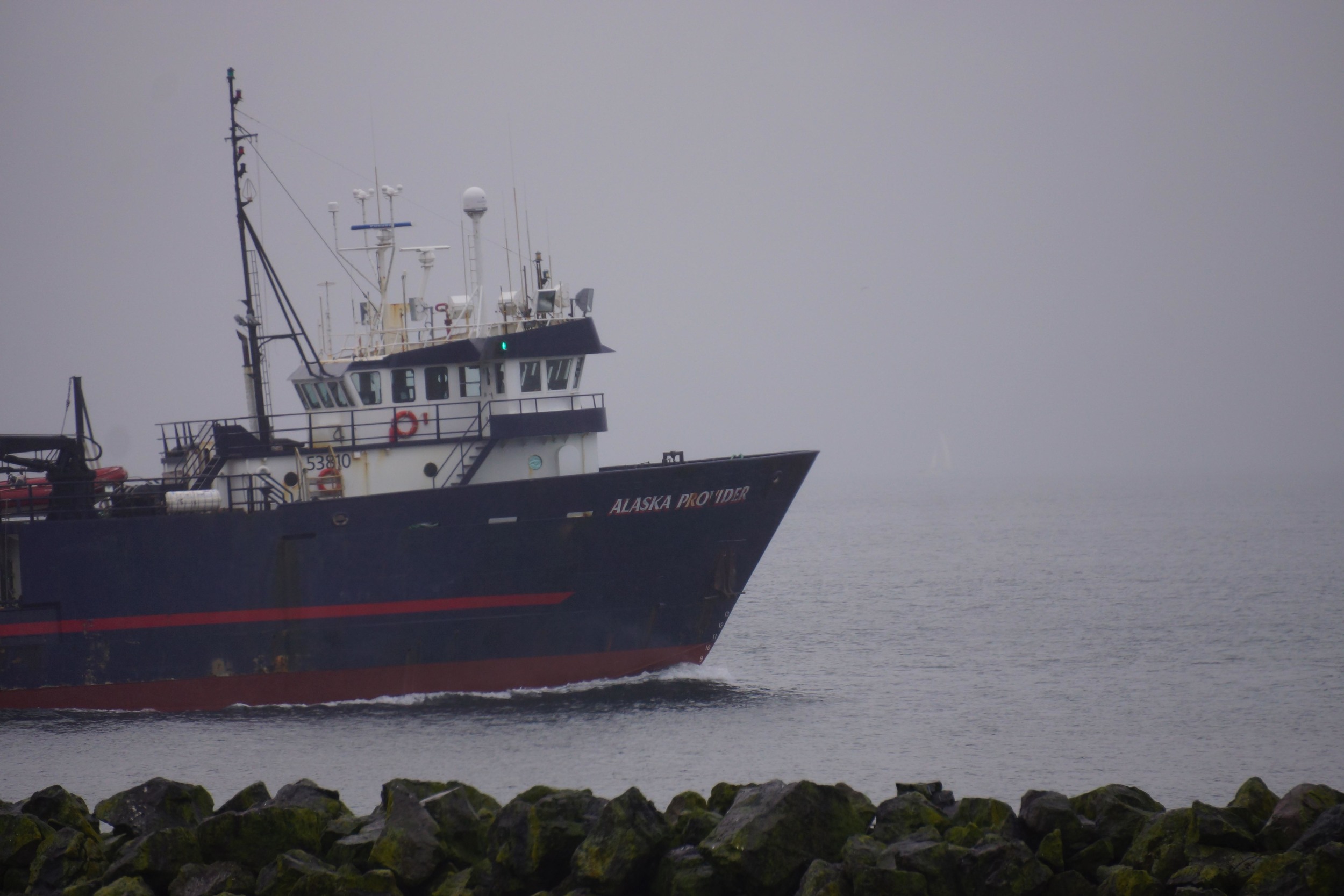 Out into the fog. 1/4/2015