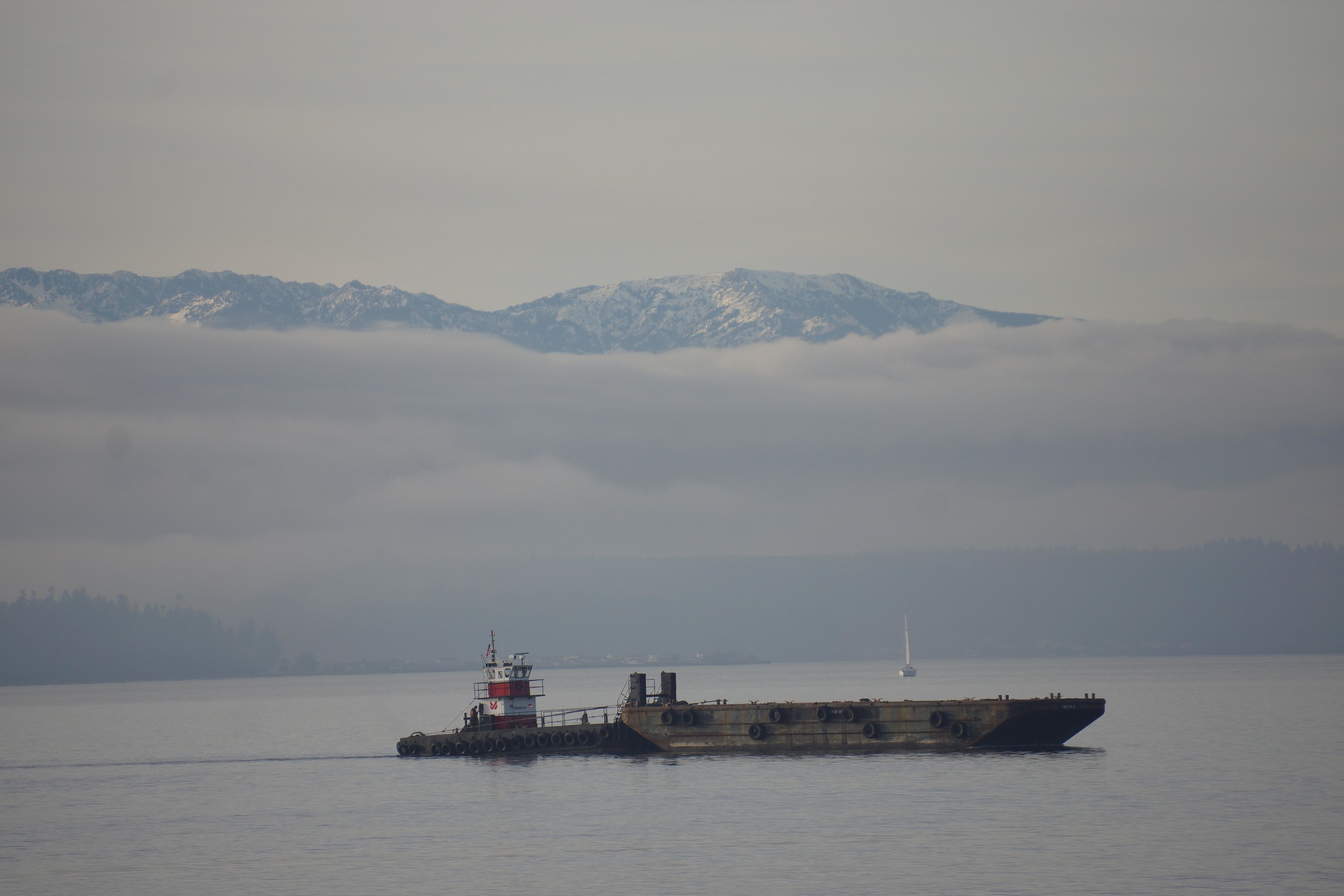 A welcome clear day. 1/6/2015
