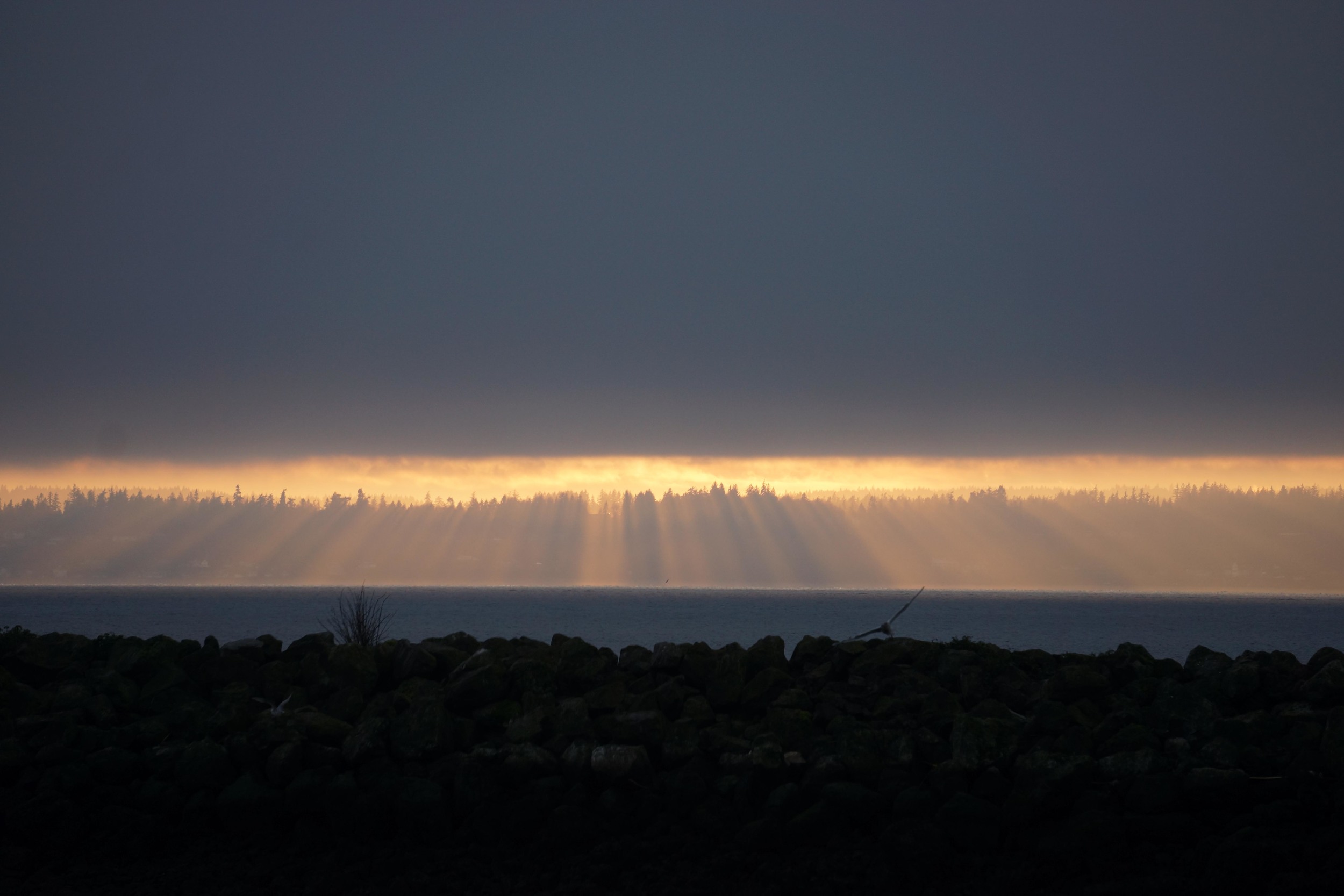 Presunset Radiance. 1/13/2015
