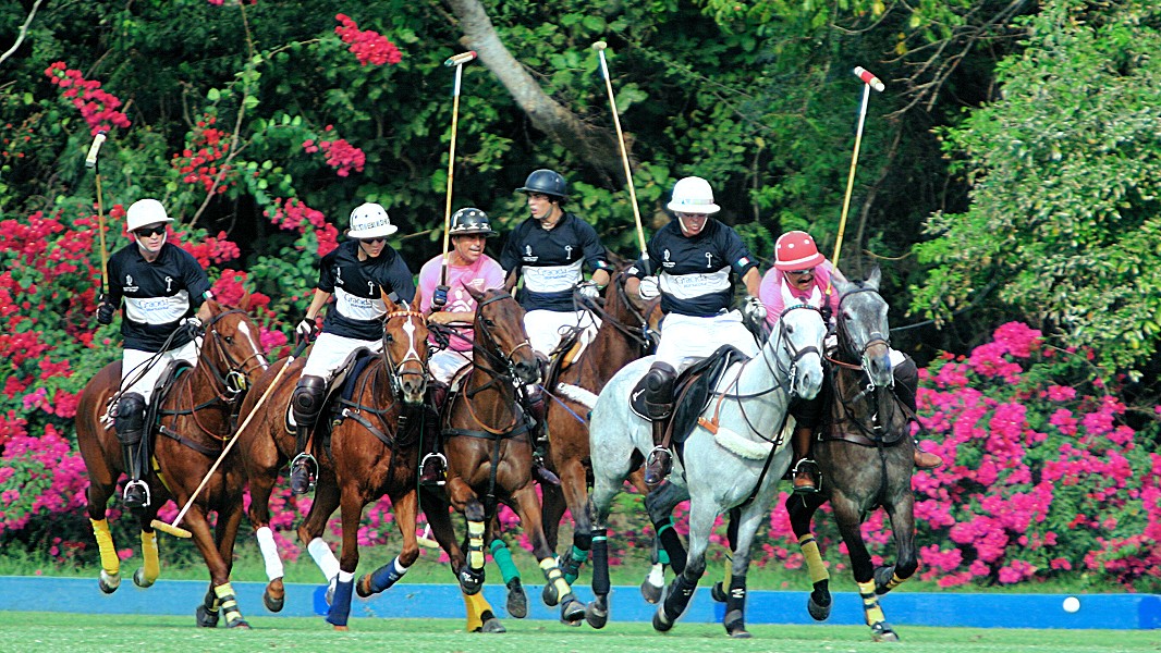 Careyes ® - Official — Polo Club