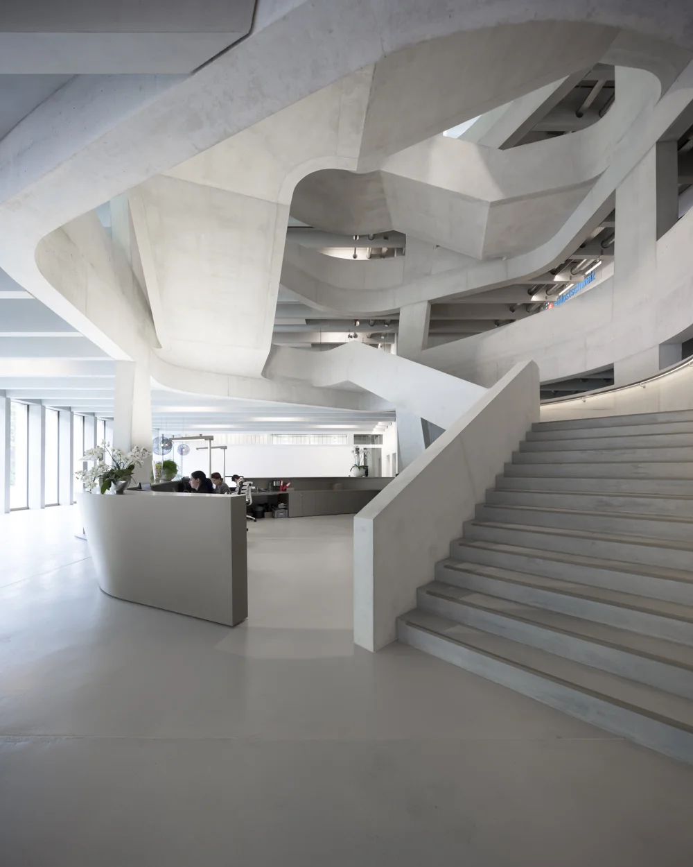 Somedia-2.jpg