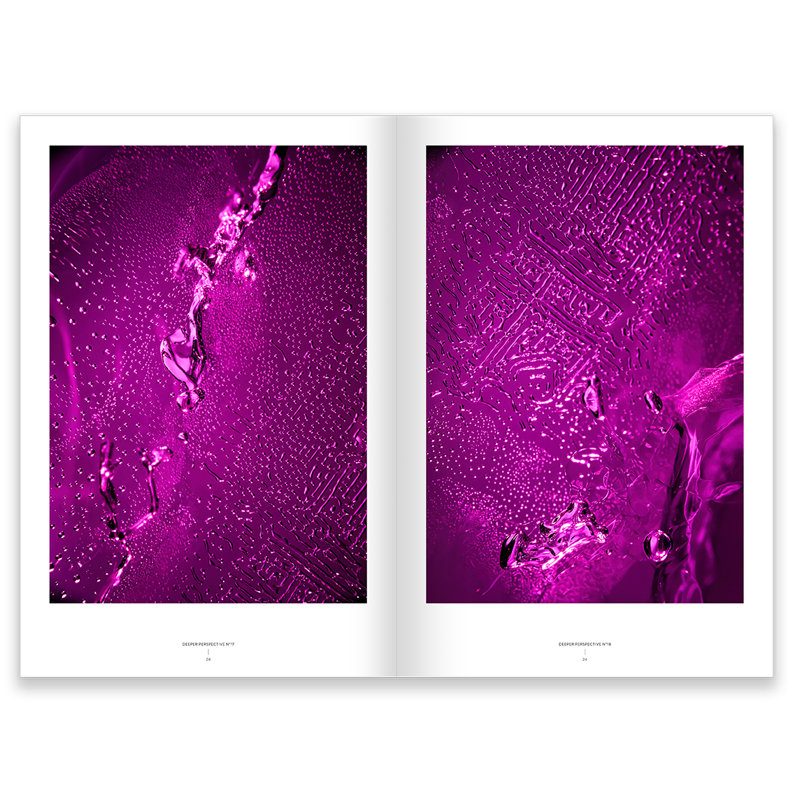 Ingo Rasp_Ice-Memories_Pages-8.png