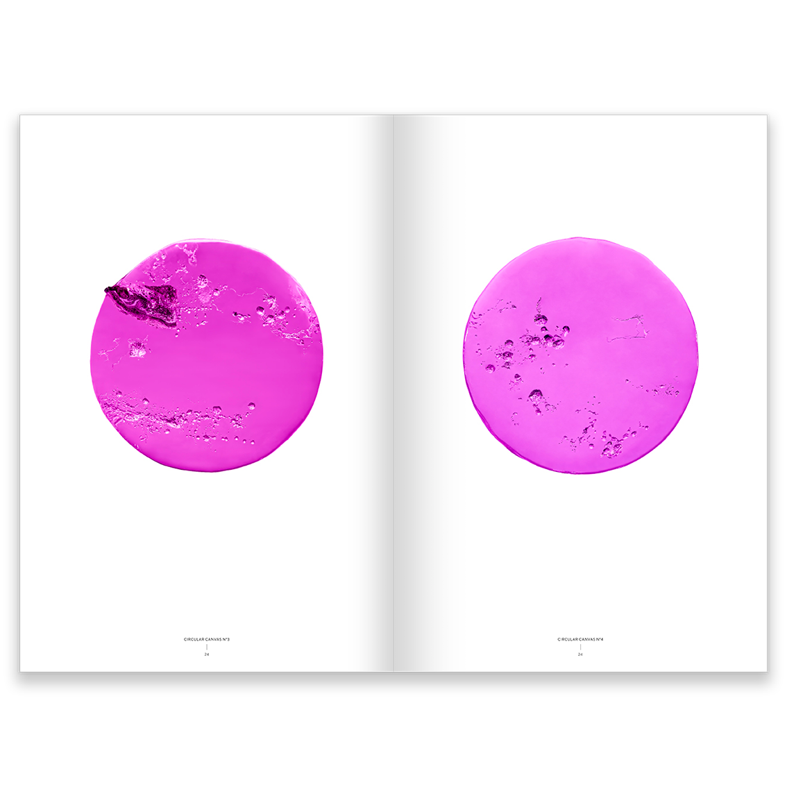 Ingo Rasp_Ice-Memories_Pages-6.png
