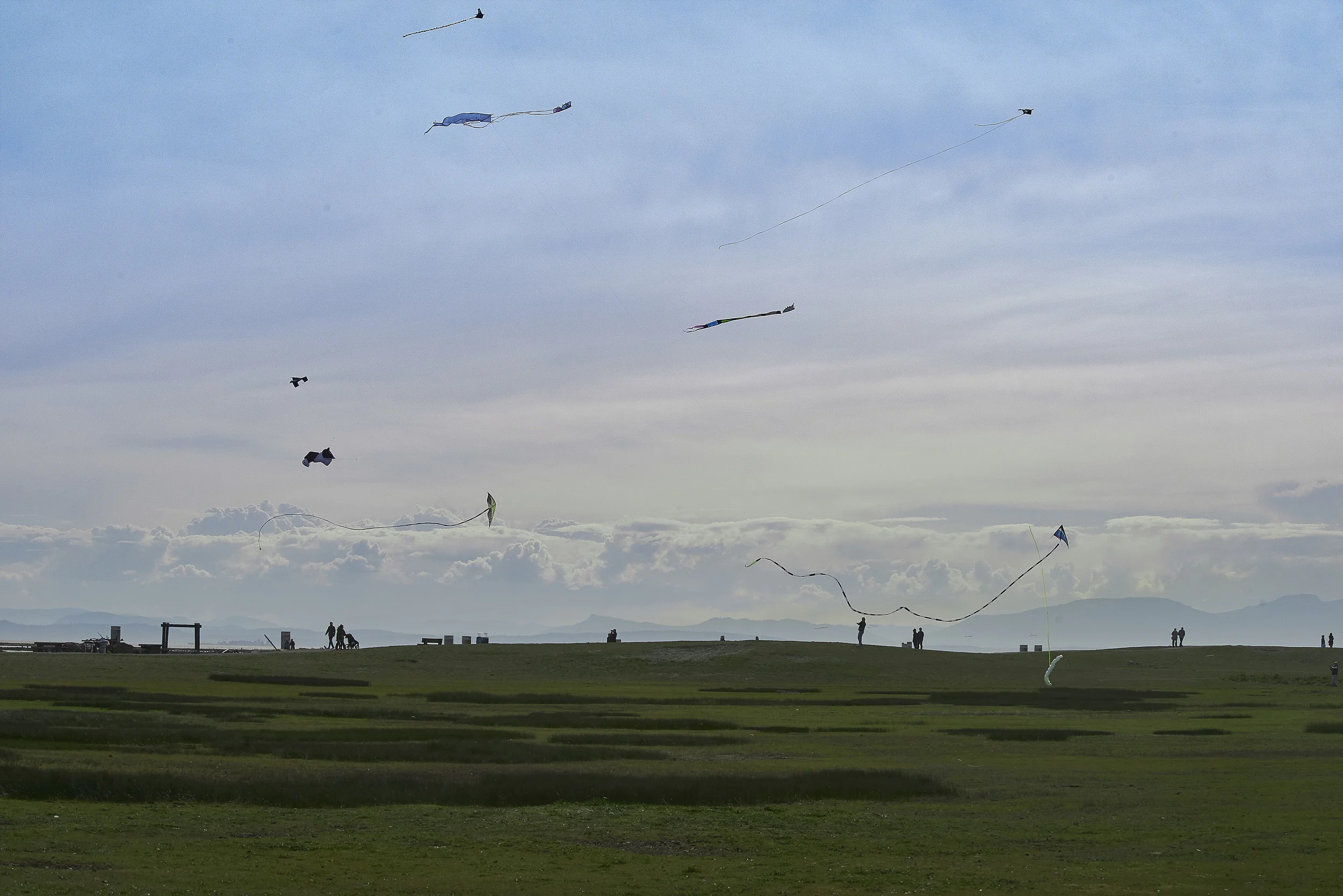 Spring has Sprung! PI Photographics Exhibition and 2015 Photo Challenge