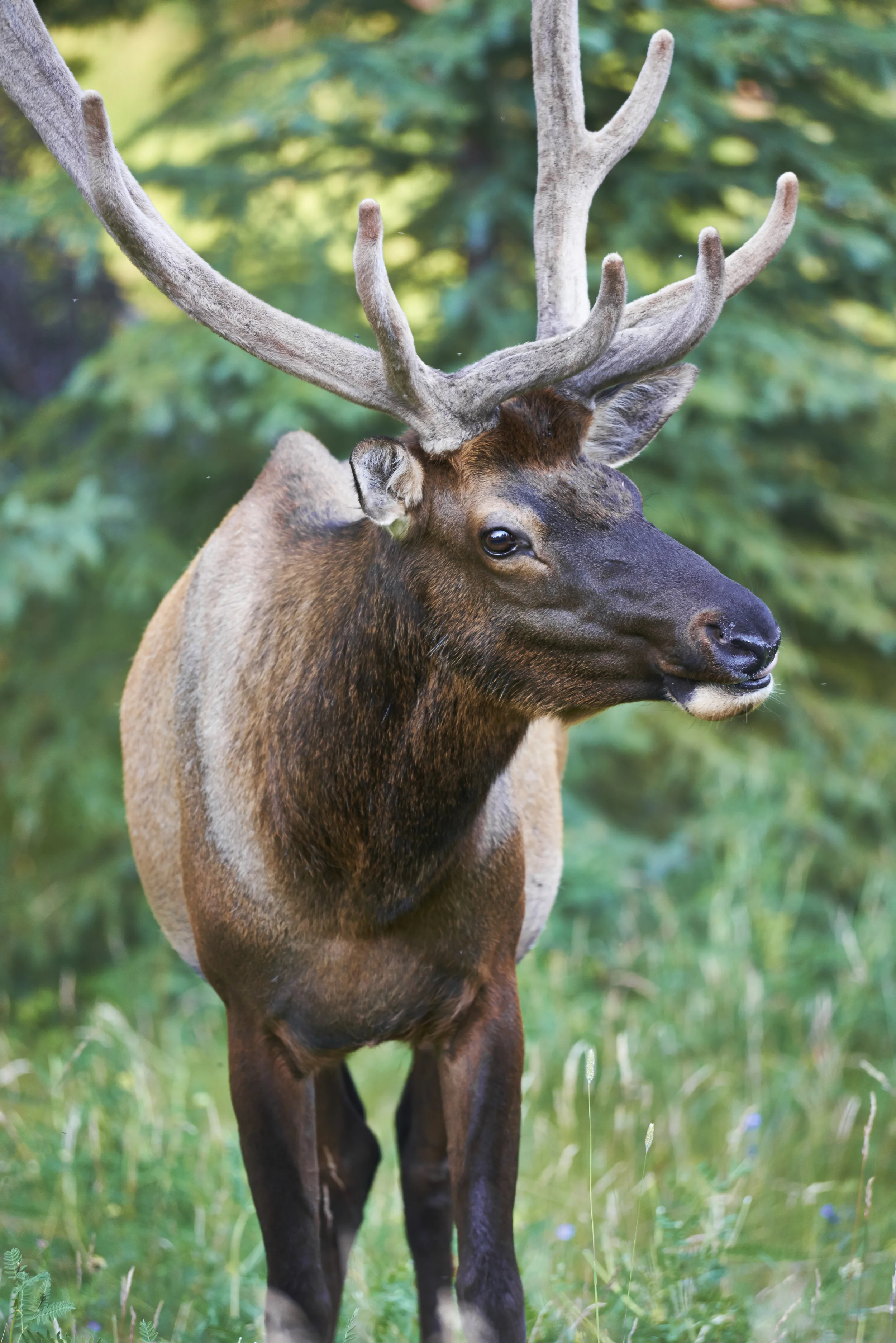 Buildings, Banff, and photo winner!