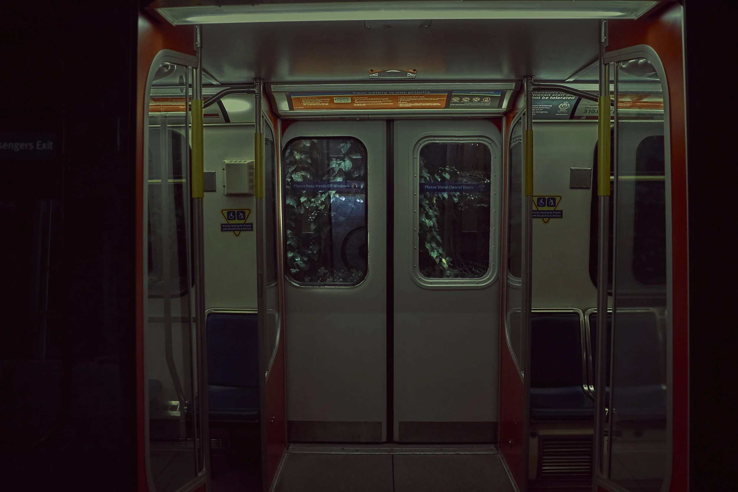 _DSC8507for web upload.jpg