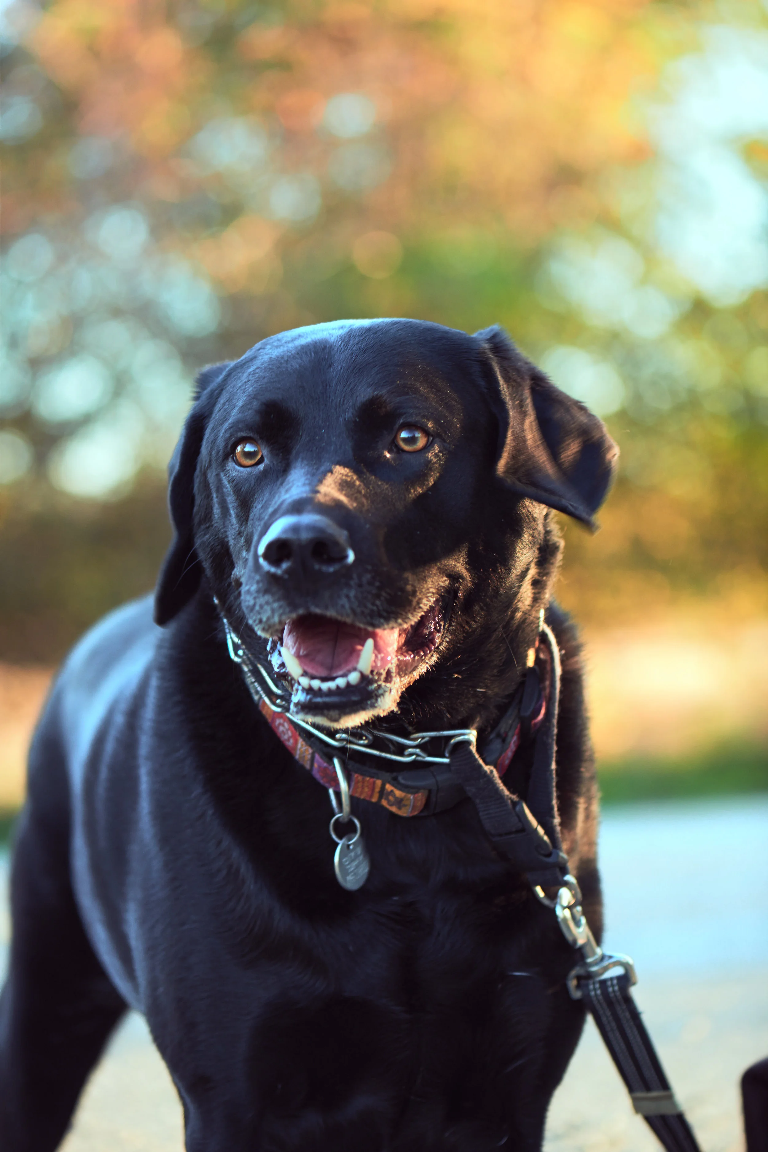 _DSC7687, srgb 1.jpg