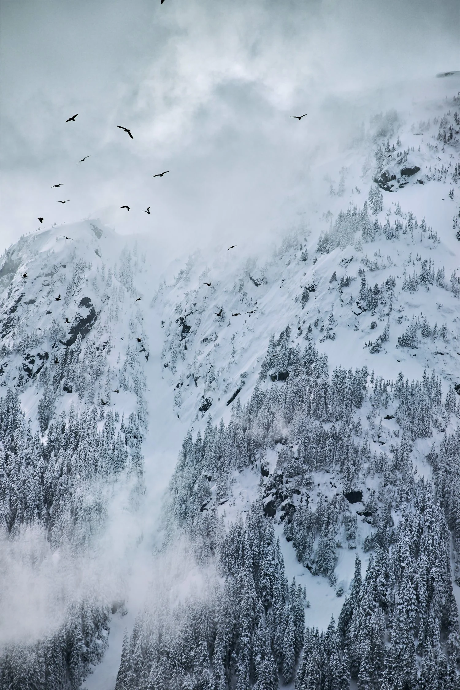 squamish image site download for use as banner.jpeg