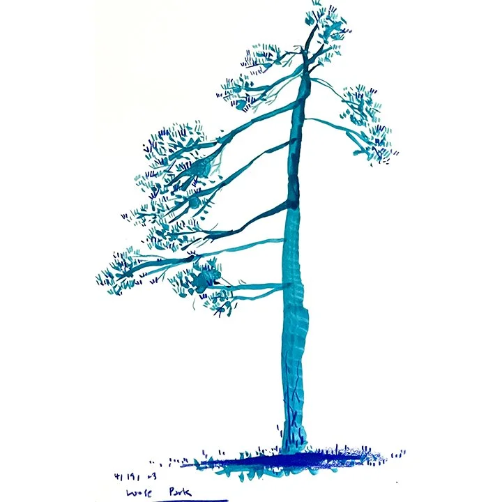 Untitled-1.JPG