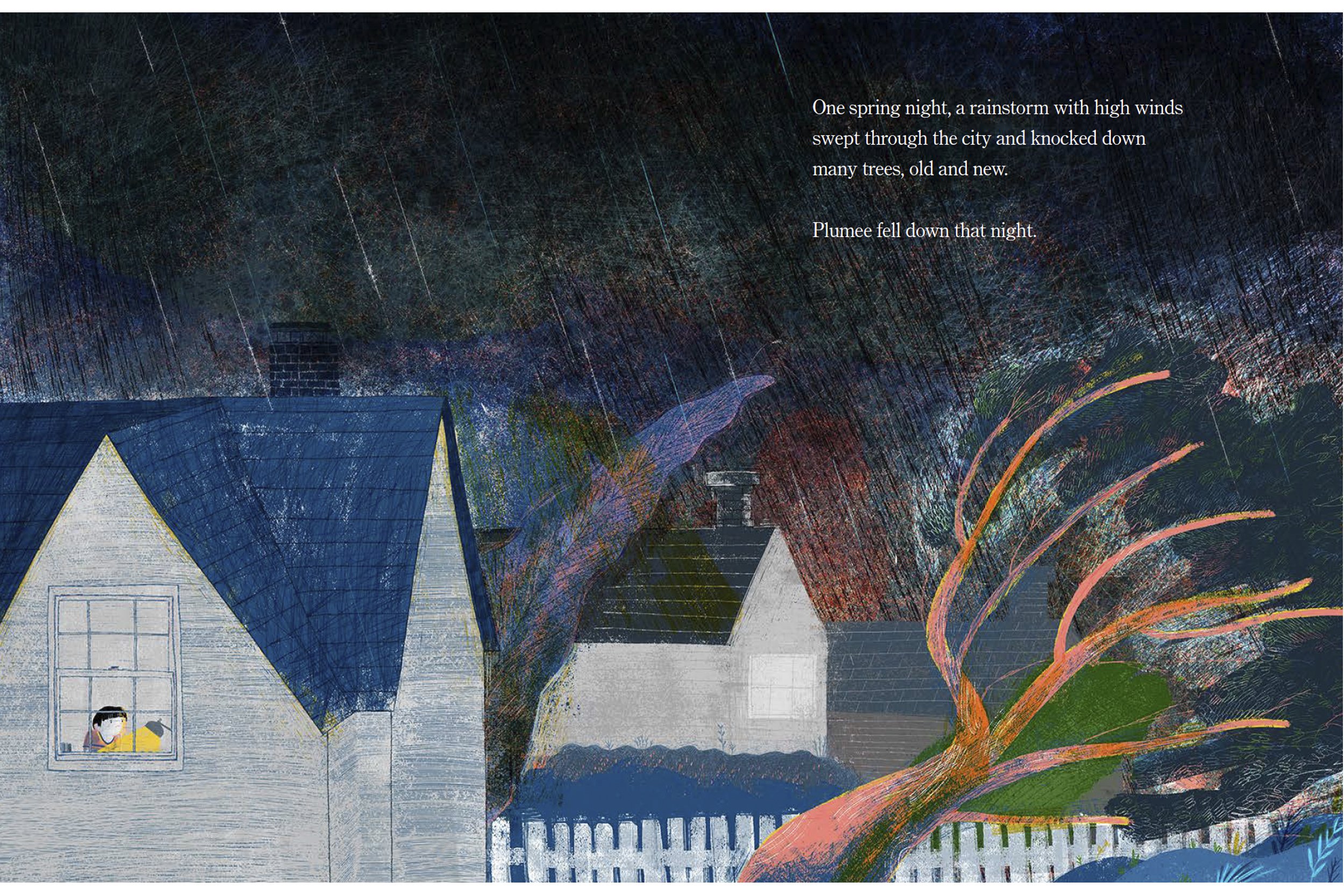 Co-creator Na meticulously heightens Lim's narrative with especially affecting whimsical details. Throughout, Na adds special somethings beyond the text: a birthday cake, Plumee's remarkable transformations, the child's artistic memorial. - Starred