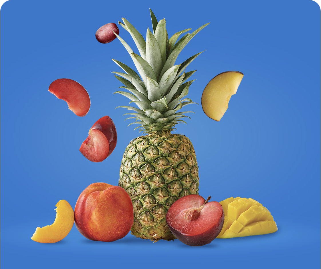 Screenshot 2026-02-23 at 9.37.47 AM.png