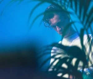 Croatian Amor_palm.jpg