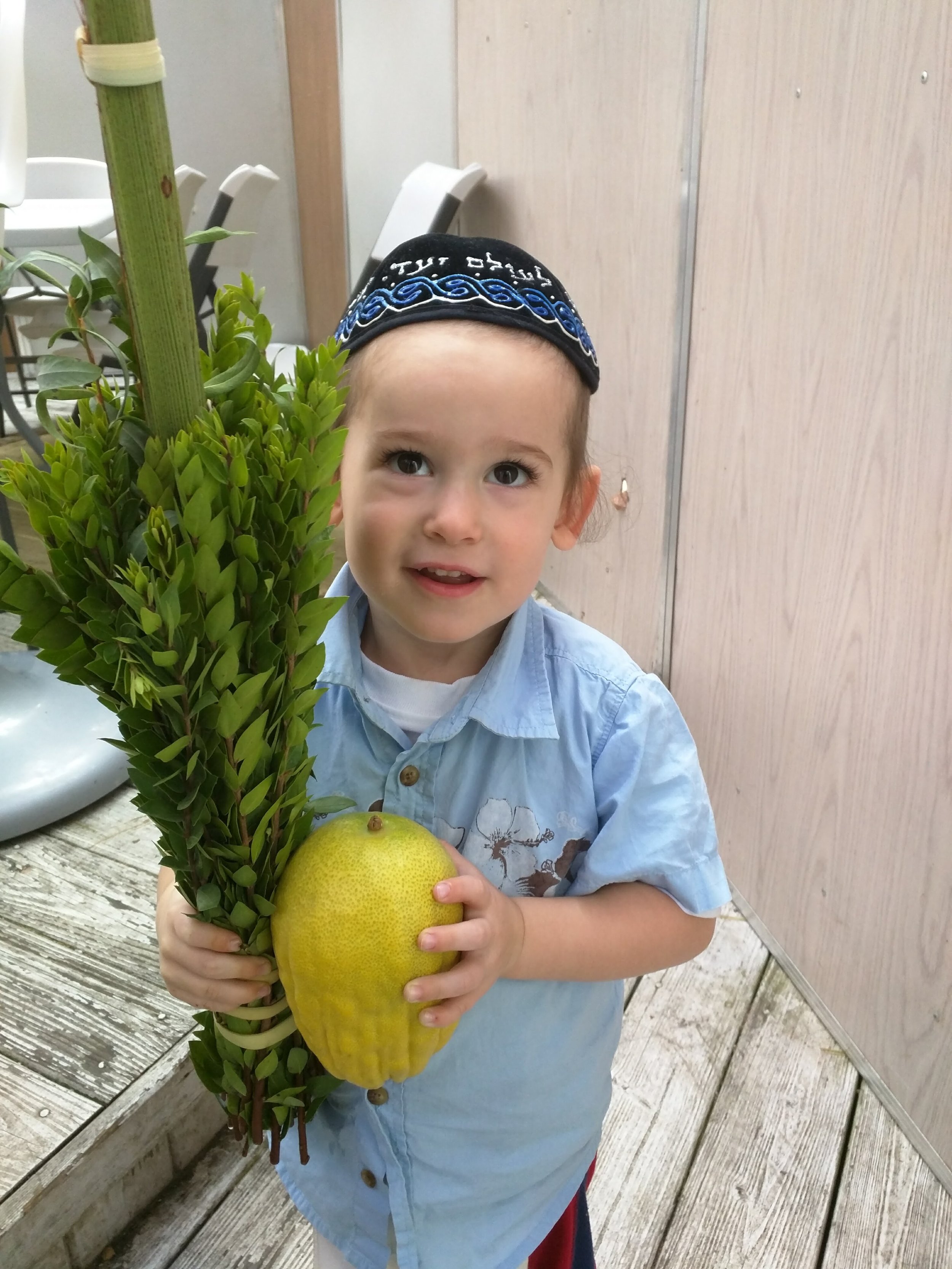 shmuel lulav sukkah.jpg