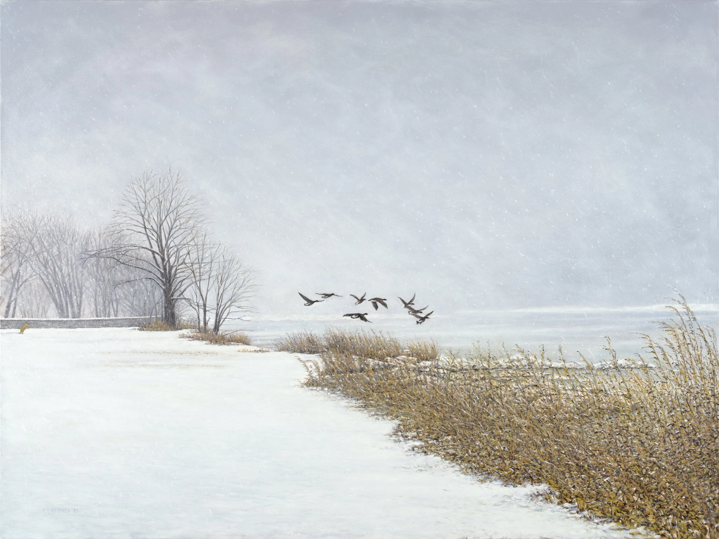 Ducks in Winter_2 copy.jpg