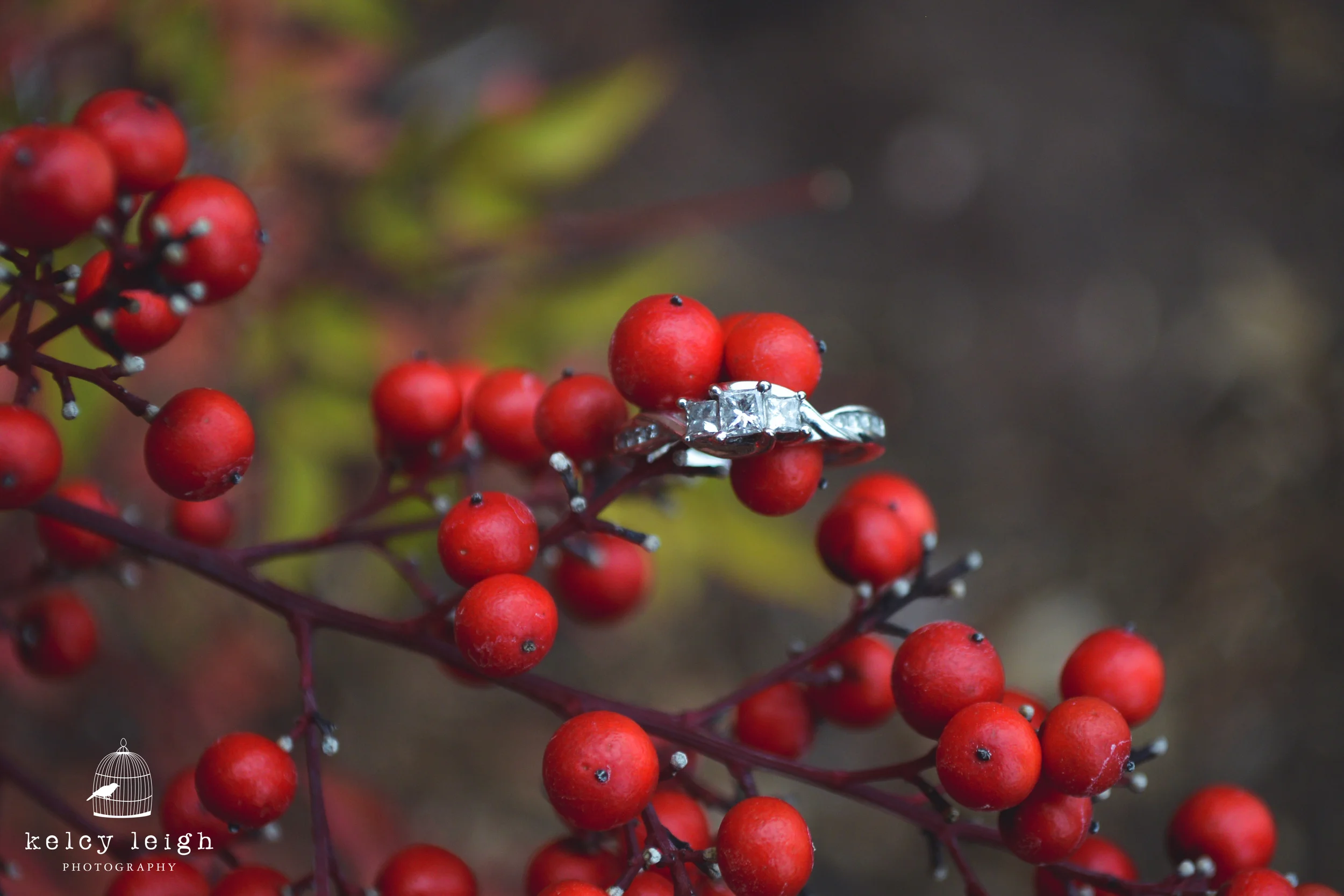 untitled shoot-113.jpg