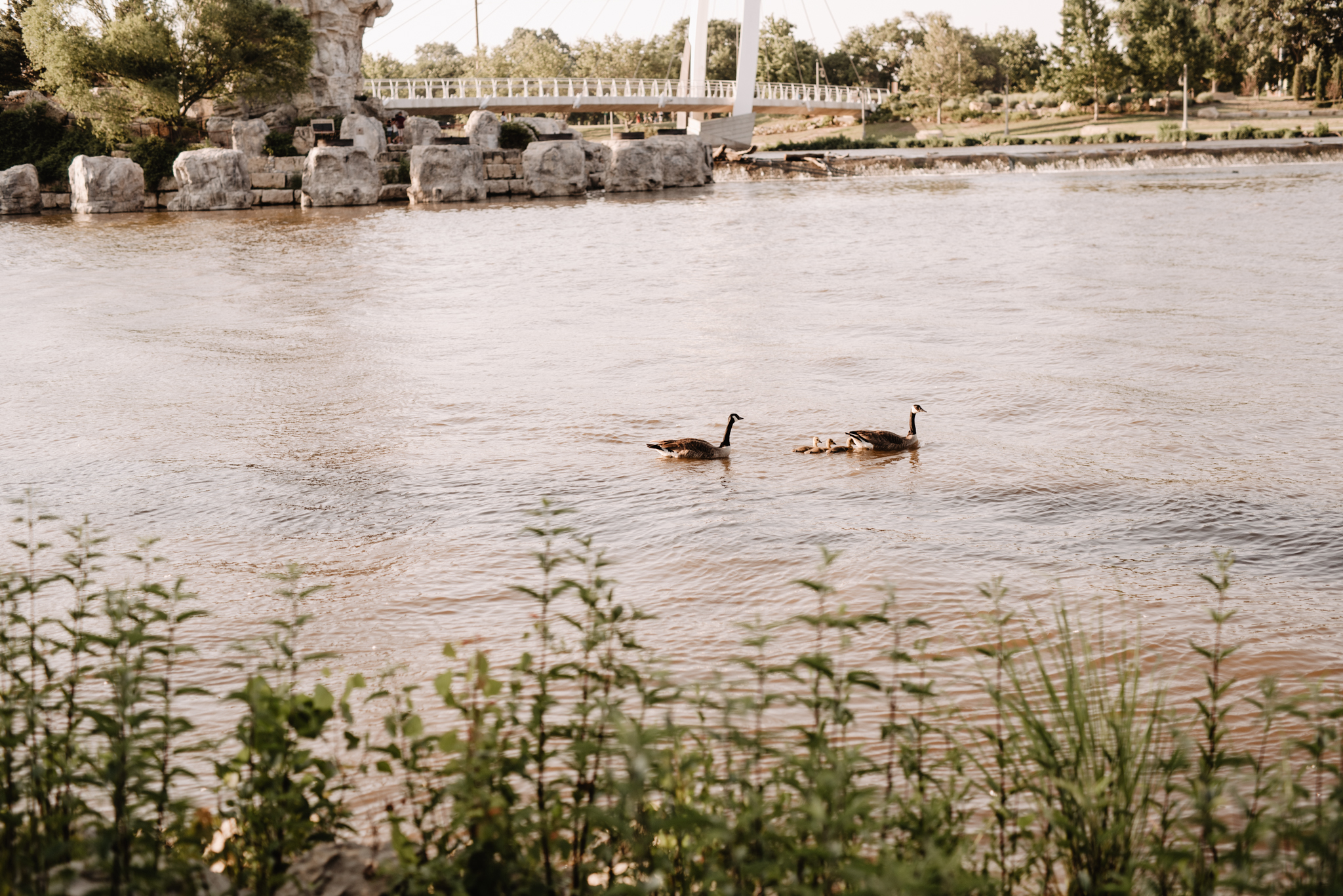 DSC_2197.jpg