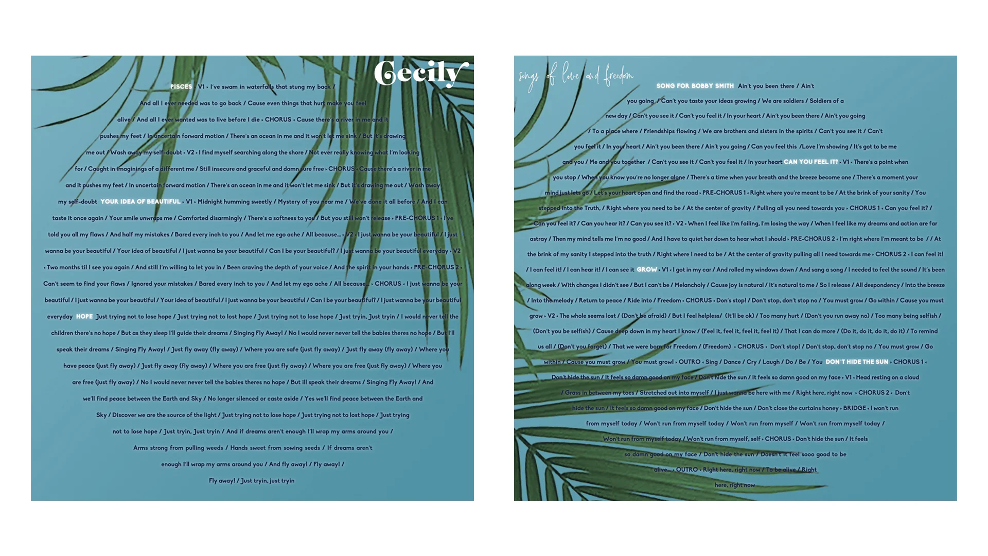 vinyl packaging lyrics insert (front / back)