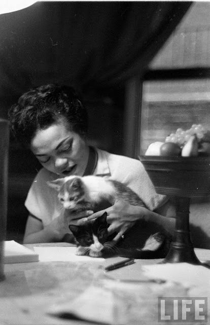 Eartha Kit by Gordon Parks