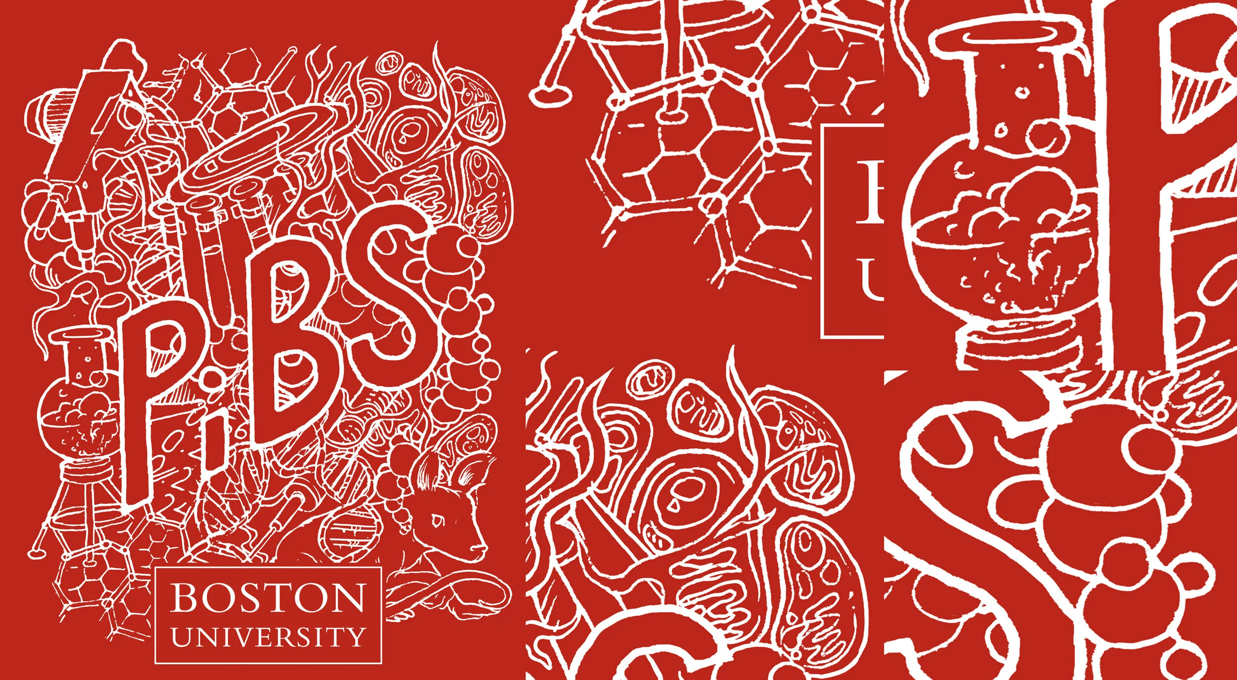 Boston University PiBS Program T-shirt