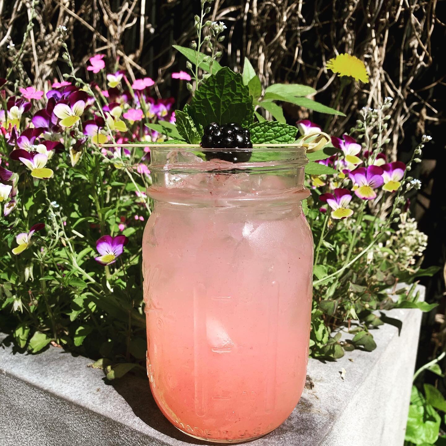 Blackberry lavender pink lemonade 🍋 
.
.
.
#espresso #coffee #cappuccino #latte #coldbrewcoffee #matchalatte #icedtealemonade #cocktail #morningroutine #winetime #beer #draftbeers #outdoorpatio #freewifi #pastries #coldsandwiches