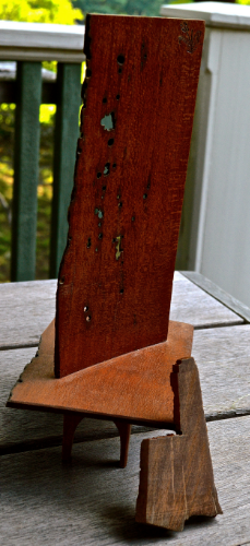 To my surprise, it was a piece of old growth English White Oak which, I read, is called brown oak after a fungus attacks the tree, turns the wood brown, and eventually kills the tree. It is a very hard wood, and apparently very resistant to anything that chews on wood. The piece above is about 3/16" thick and marine borers have only had very limited success in getting that deep into the piece, even in the end grain. A most remarkable wood.