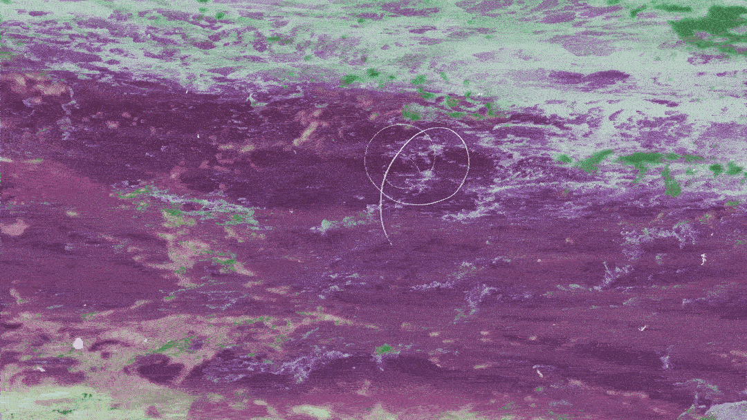 BACKGROUND_7.gif