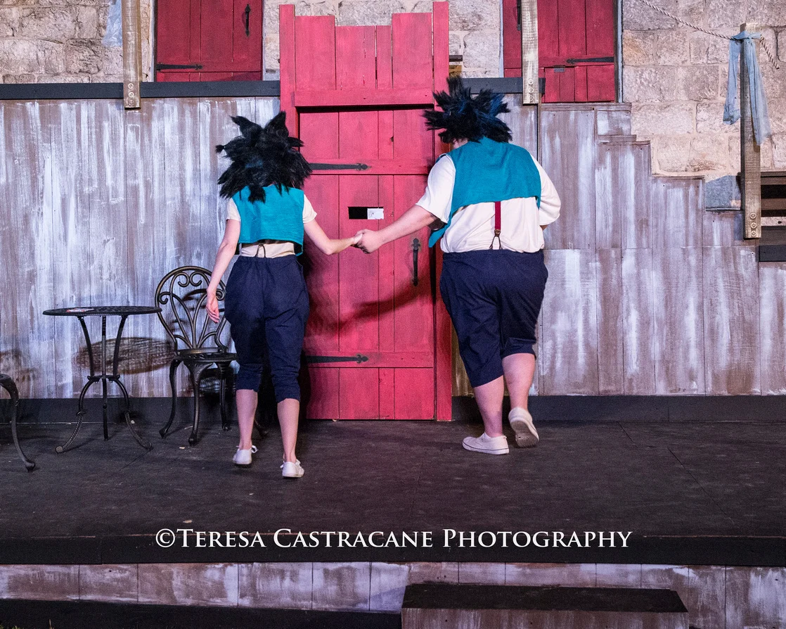 290_Comedy of Errors copy-(ZF-2267-86069-1-043).jpg