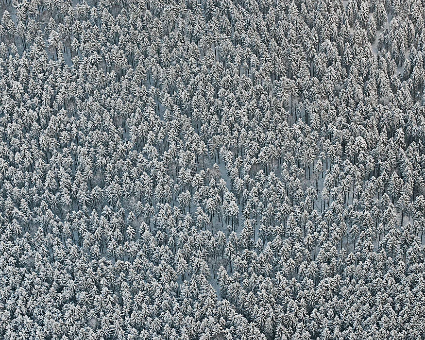 AV0034.jpg